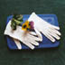 #440XH Cotton Knit Gloves