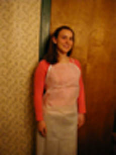 #AP-NWP Lined Poly Apron